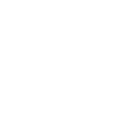 secu-ico
